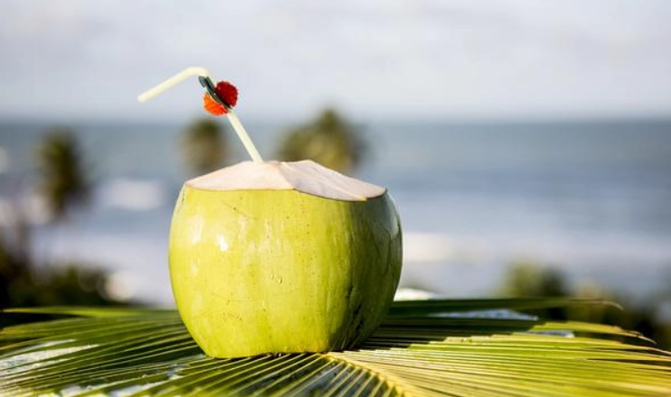 糖尿病喝椰子水