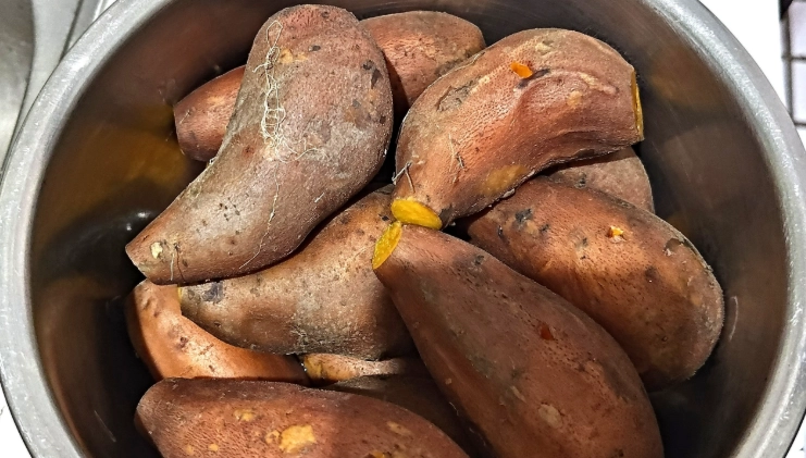 電鍋蒸地瓜技巧