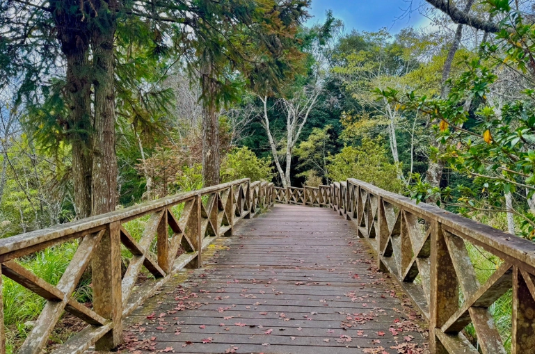 台灣森林遊樂區