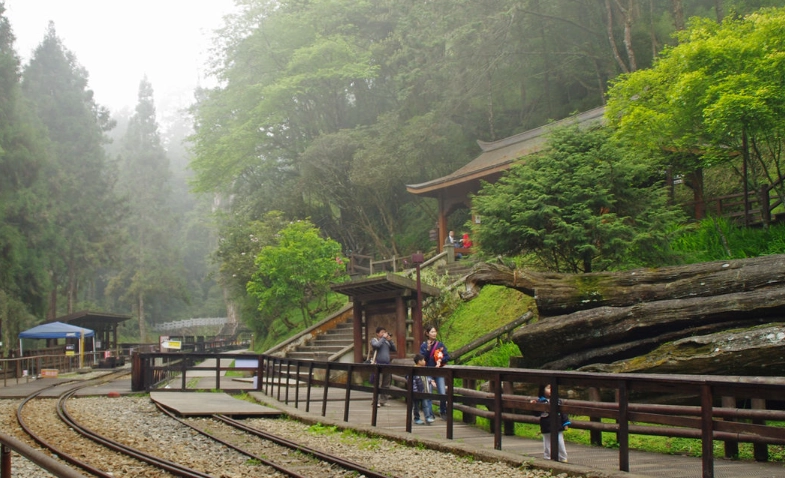 森林遊樂區有哪些