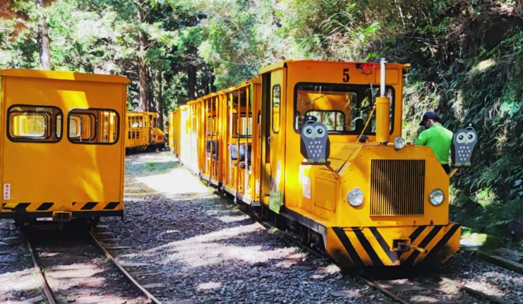 太平山森林遊樂區 太平山森林遊樂區