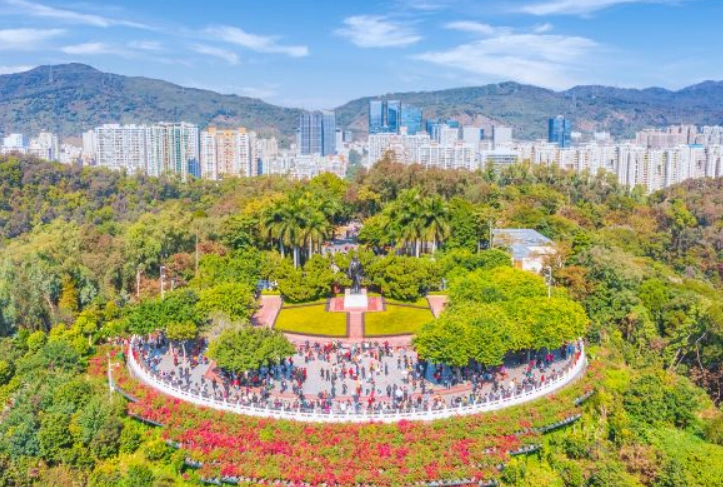 深圳美食推薦 深圳美食推薦