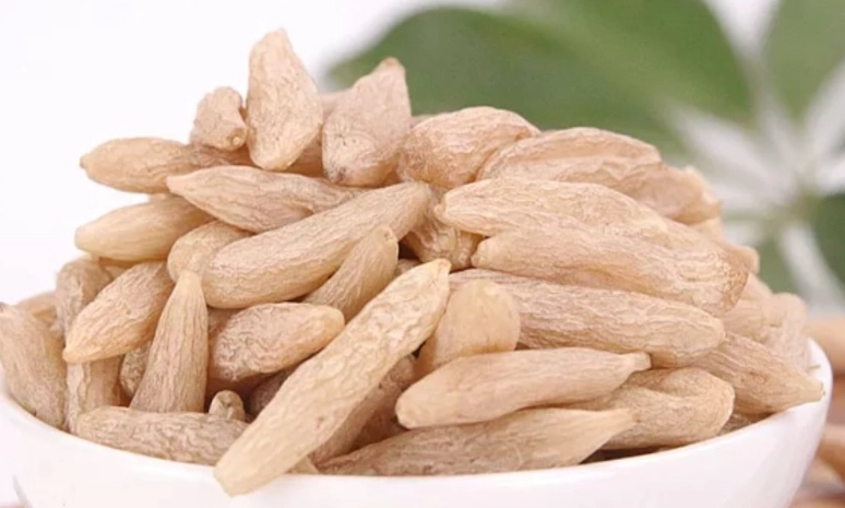 麥門冬湯注意事項