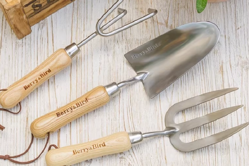 九層塔換盆方法 九層塔換盆方法