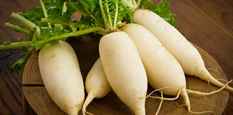 白蘿蔔食用禁忌