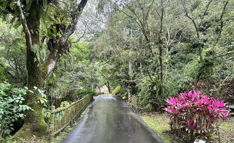 台灣森林遊樂區列表