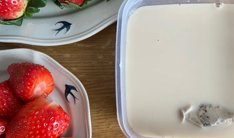 水果提拉米蘇食譜