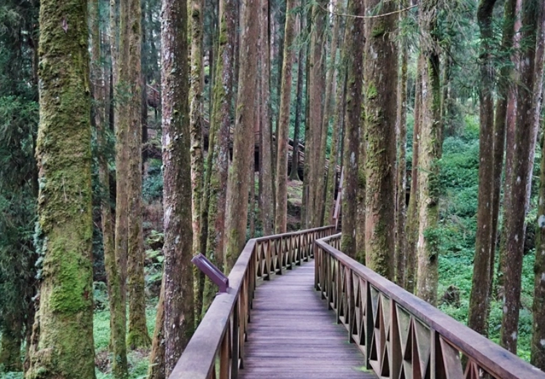 台灣森林遊樂區列表