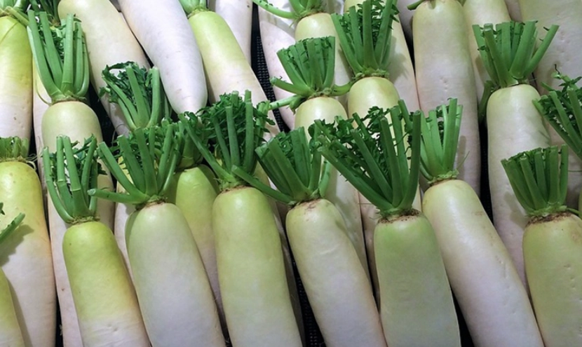 白蘿蔔食用禁忌