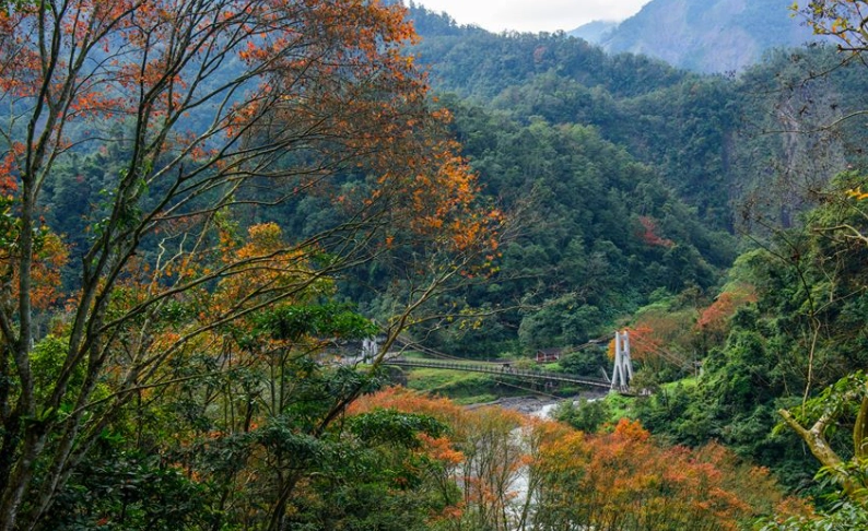 太平山遊樂區 交通 太平山遊樂區 交通