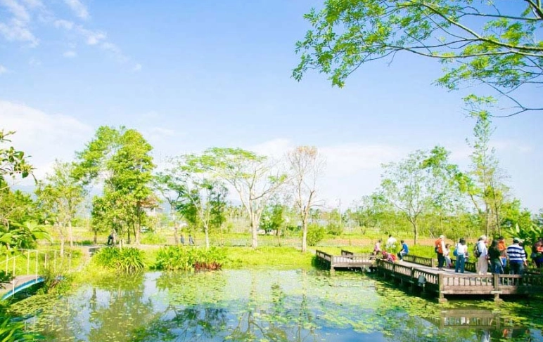 水草主題住宿體驗