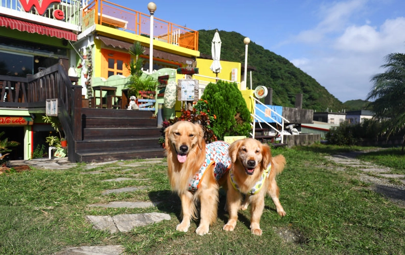 宜蘭寵物友善景點
