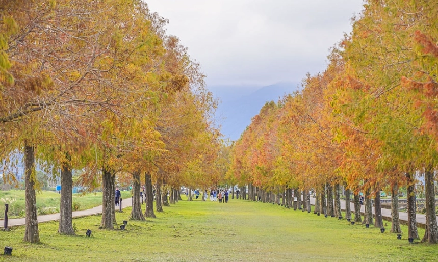 三星鄉寵物友善