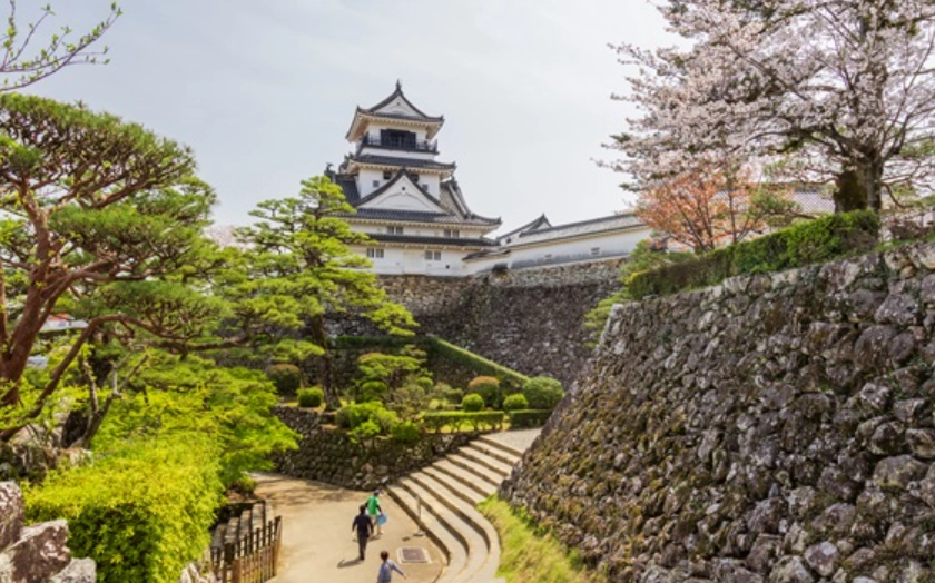 高知自由行攻略