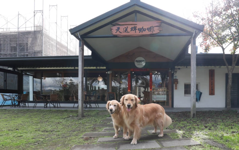 宜蘭帶寵物旅遊