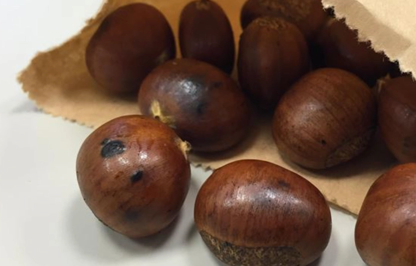 快速剝栗子技巧