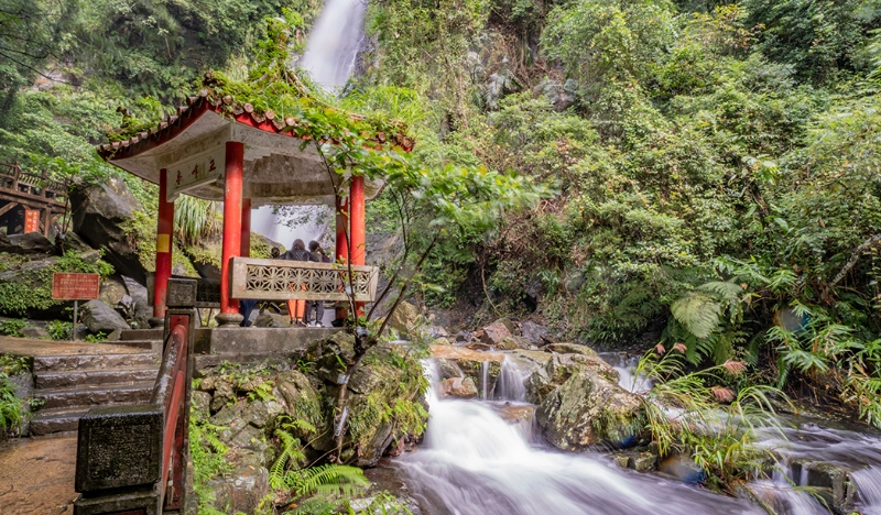 宜蘭寵物友善景點