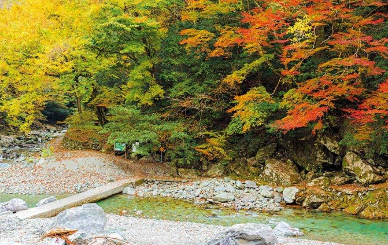 高知旅遊最佳季節