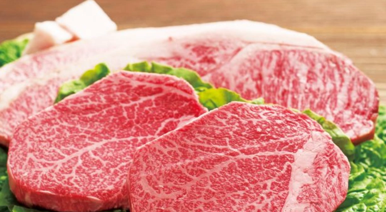 高知自由行攻略