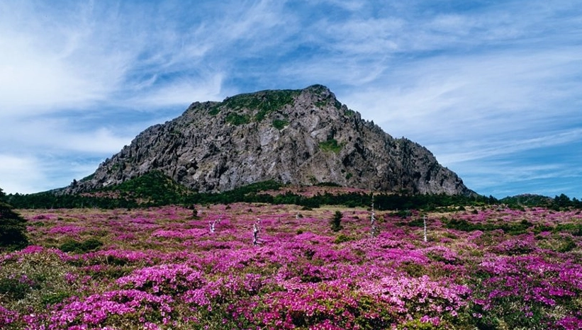 韓國景點推薦地圖