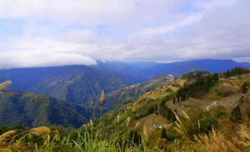 拉拉山旅遊攻略