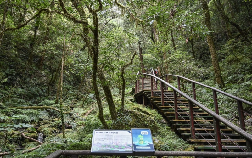 拉拉山旅遊攻略