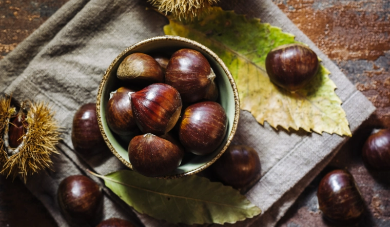 生栗子處理方法