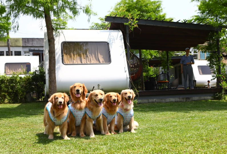 兩天一夜寵物行程