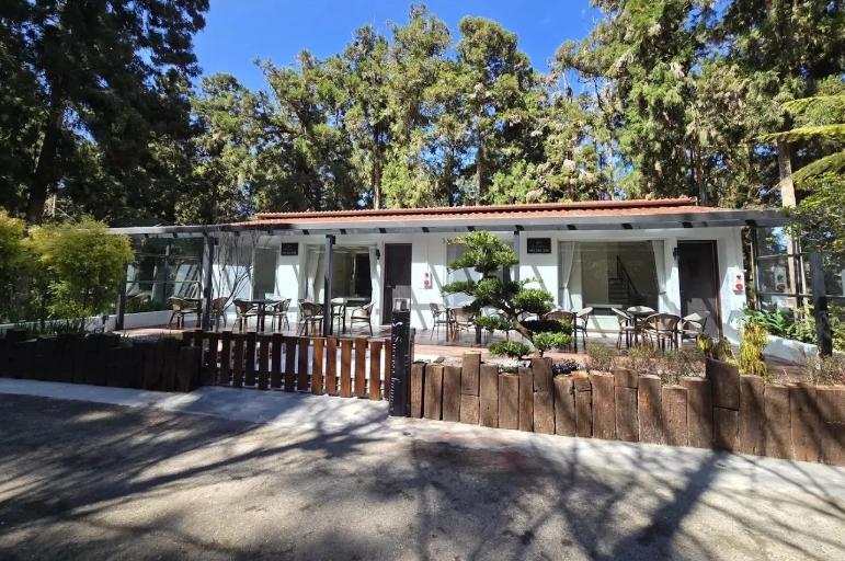 觀霧山莊附近民宿