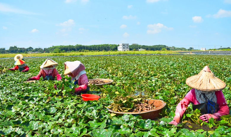 官田觀光工廠交通