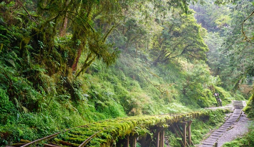 宜蘭自由行規劃