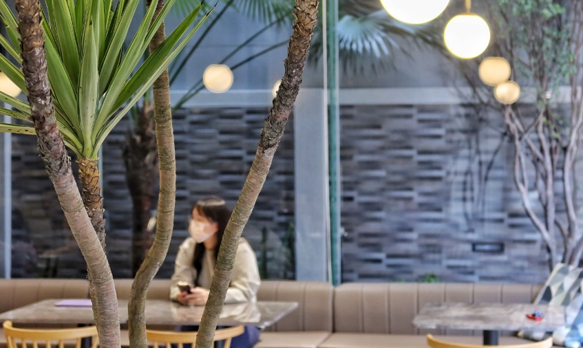 網美打卡咖啡廳