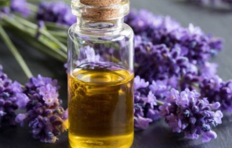 薰衣草檸檬精油功效