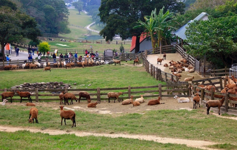 桃竹苗一日遊行程