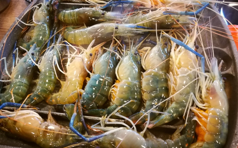 桃園流水蝦推薦