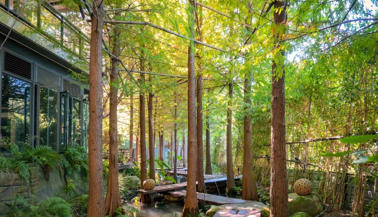 台中素食餐廳推薦