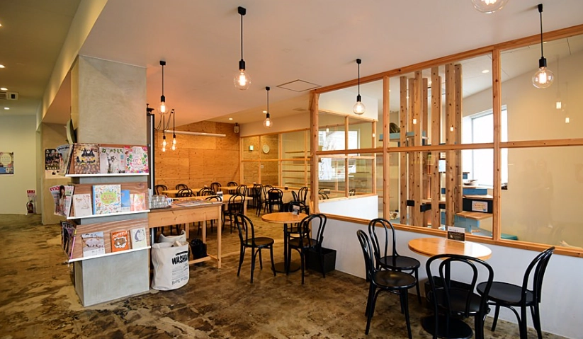 貓咪咖啡廳推薦