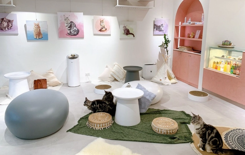 貓咪咖啡廳推薦