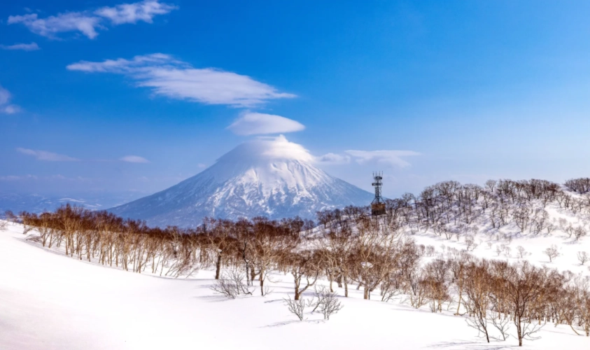 二世古滑雪季節