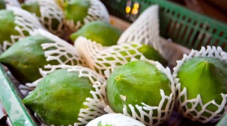 青木瓜痛风食疗