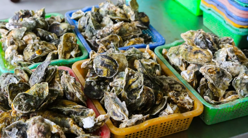 烤蚵吃到飽台南