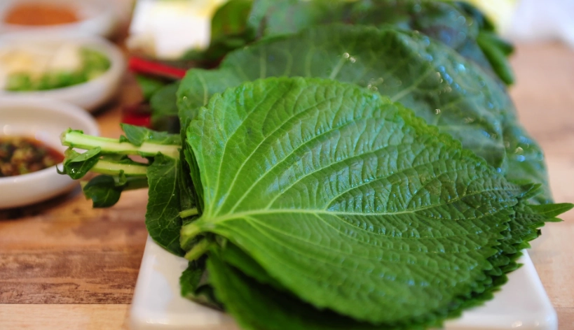 紫蘇葉食用方法