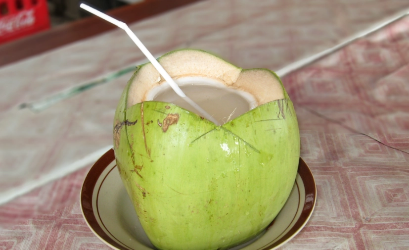 膽固醇高可以喝椰子水嗎