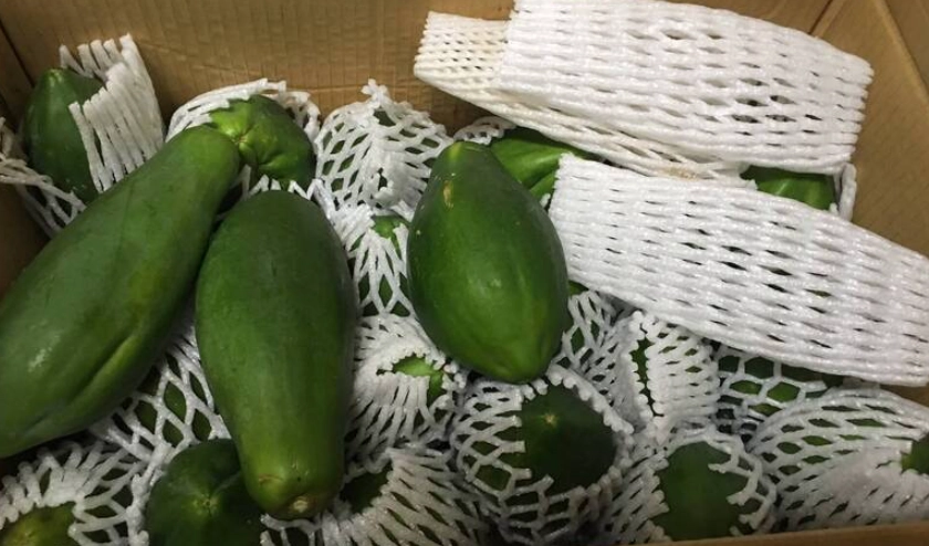 青木瓜營養價值 青木瓜營養價值