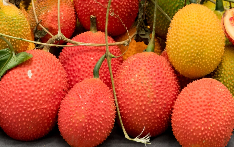 木鱉果眼睛功效