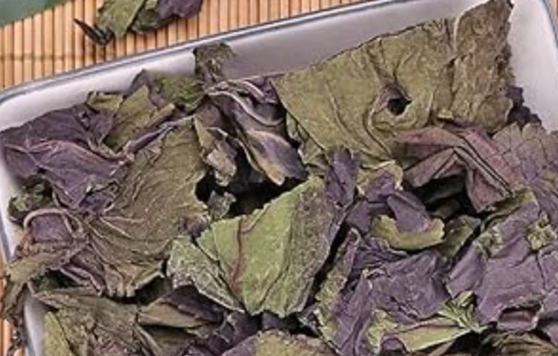 紫蘇葉健康益處