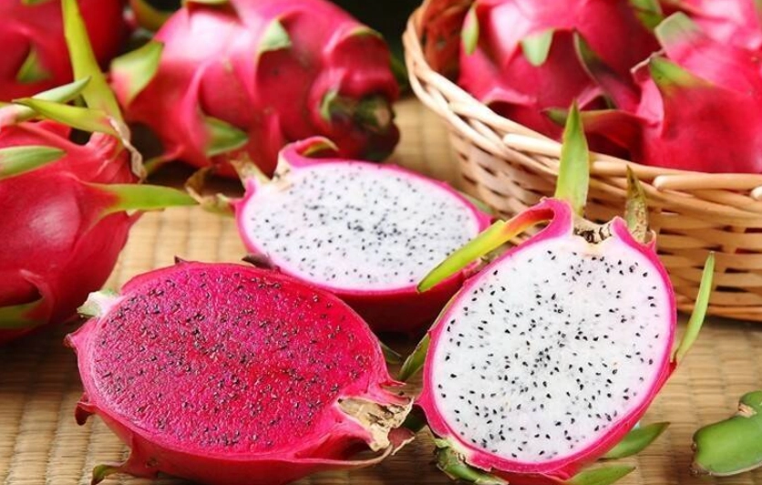 火龍果最佳食用時機