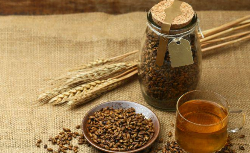 日本麥茶健康風險