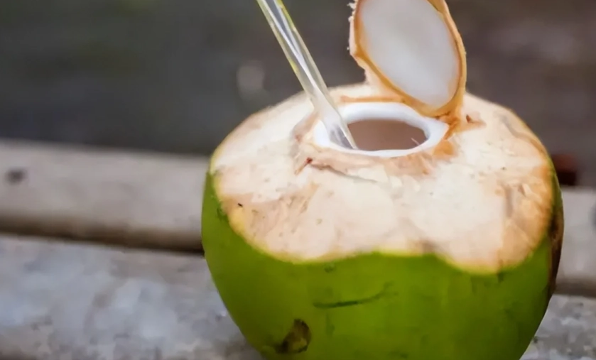 椰子水健康指南