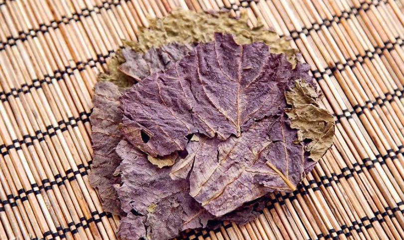 乾紫蘇葉使用方法